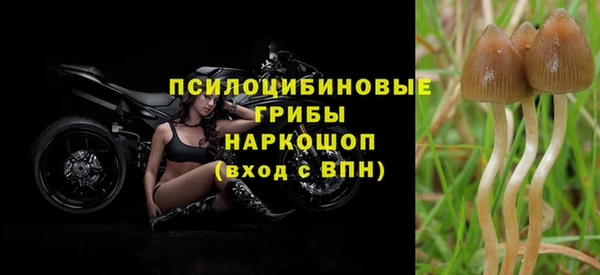 гашиш Переславль-Залесский