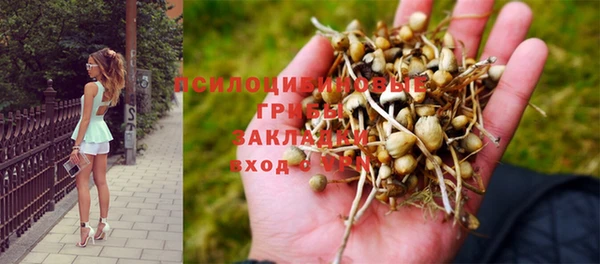 марки nbome Кохма