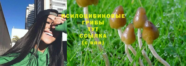 a pvp Пересвет