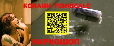 амф Камышлов