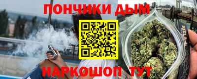 амф Камышлов