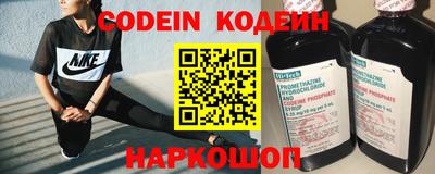 амф Камышлов