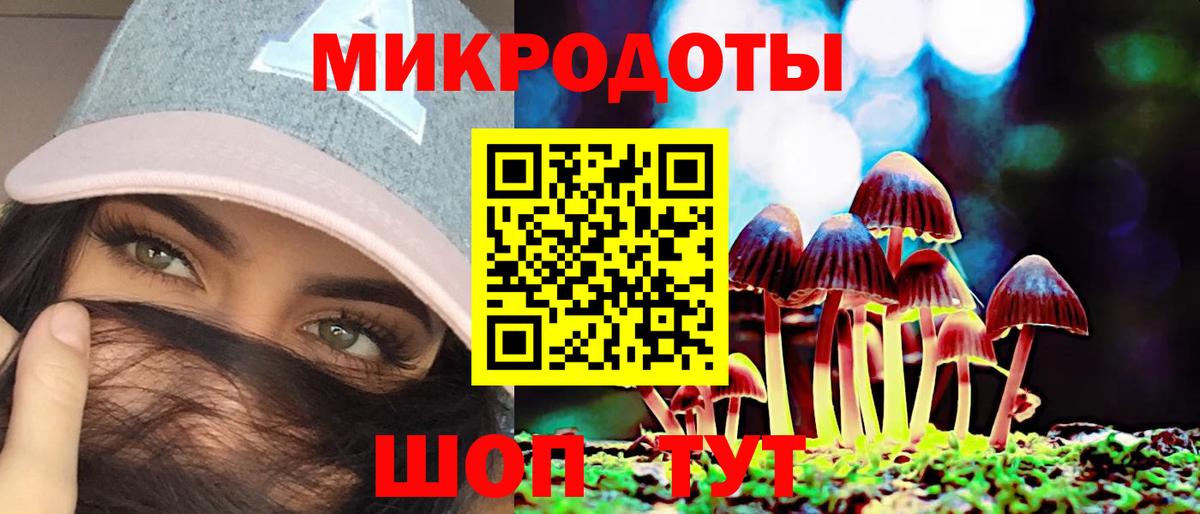 Псилоцибиновые грибы Psilocybine cubensis  Унеча  Псилоцибиновые грибы Psilocybe 