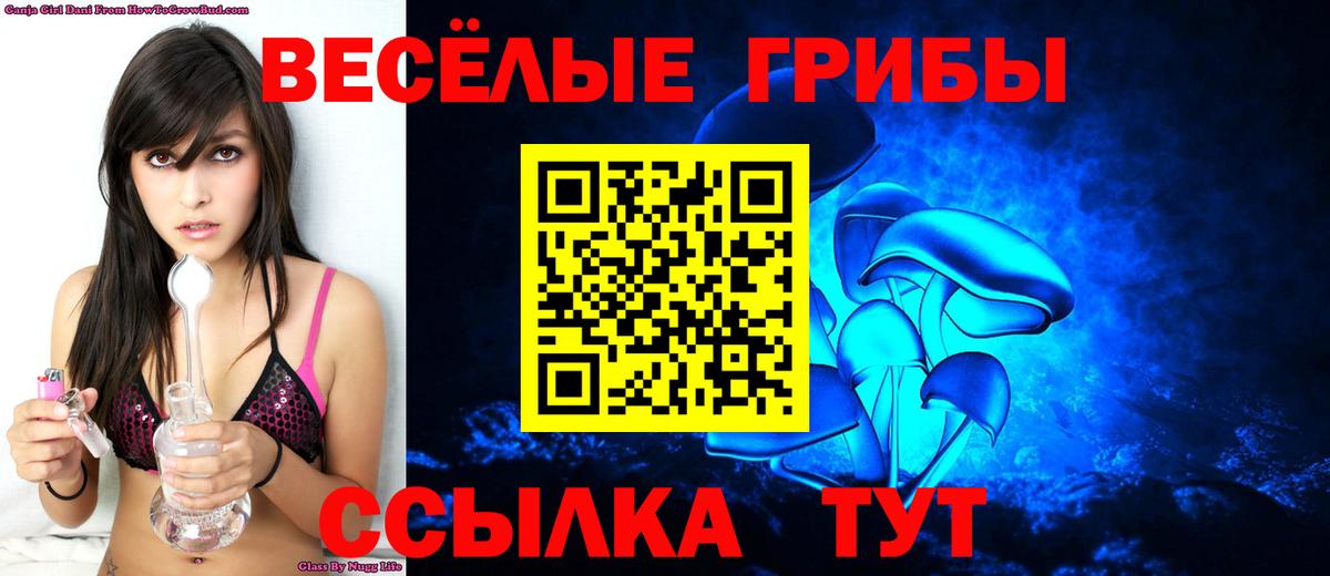 Псилоцибиновые грибы ЛСД Унеча