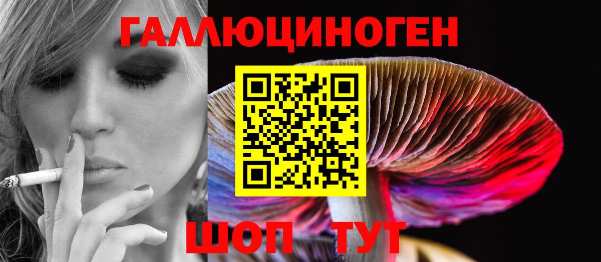 Псилоцибиновые грибы Psilocybe  Вход с VPN  Унеча  Псилоцибиновые грибы MAGIC MUSHROOMS 