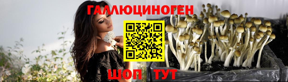 Псилоцибиновые грибы GOLDEN TEACHER Унеча